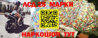 стафф Гусев