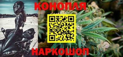 стафф Гусев
