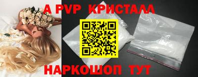 стафф Гусев
