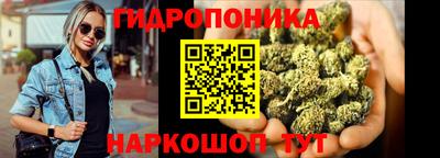 стафф Гусев