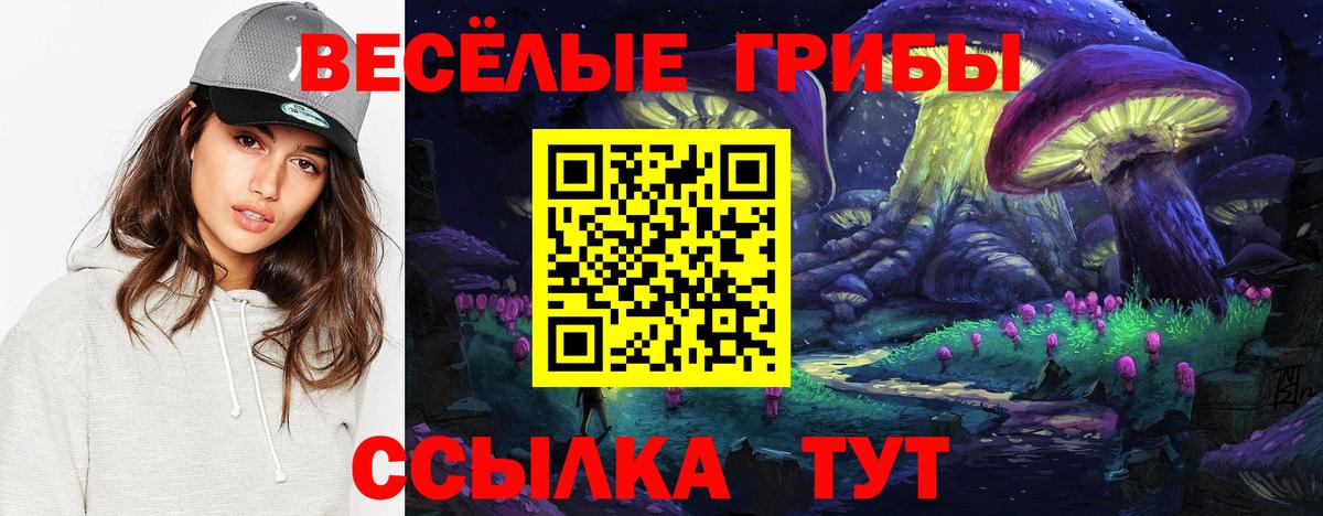 Галлюциногенные грибы мухоморы Мичуринск